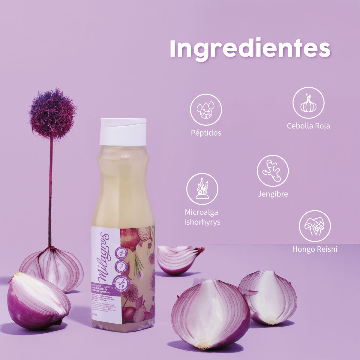 SHAMPOO CEBOLLA
