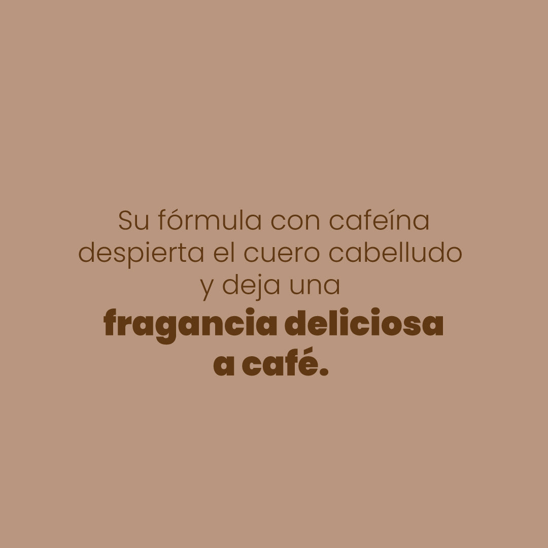 SHAMPOO CAFÉ