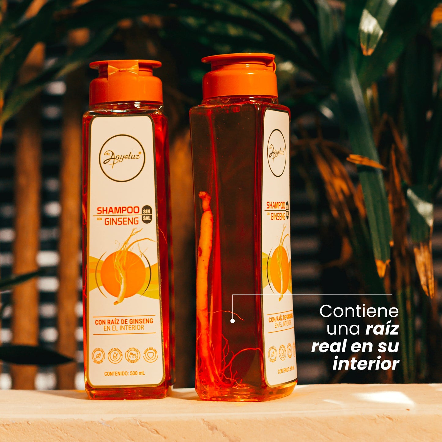 SHAMPOO GINSENG
