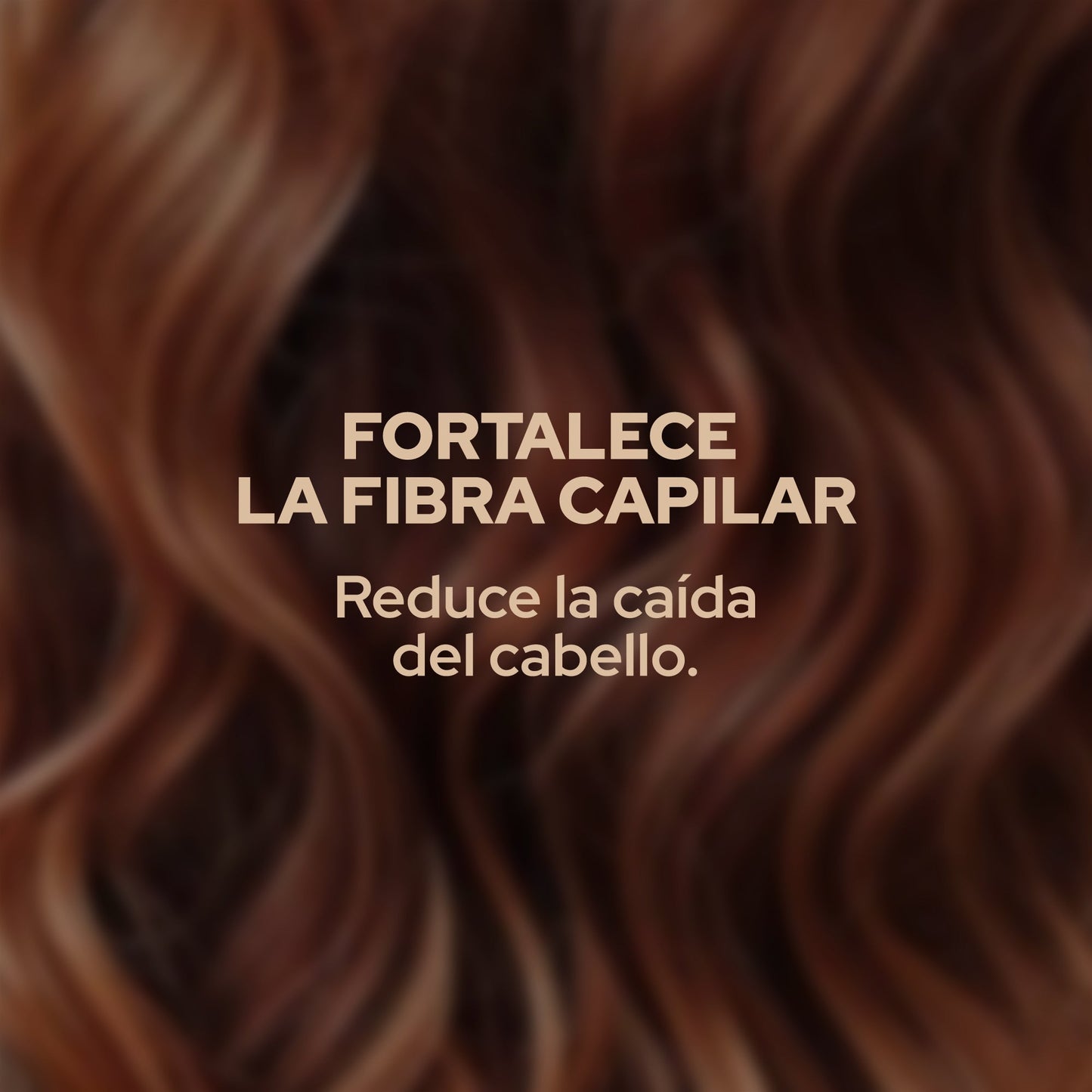 SHAMPOO ROMERO