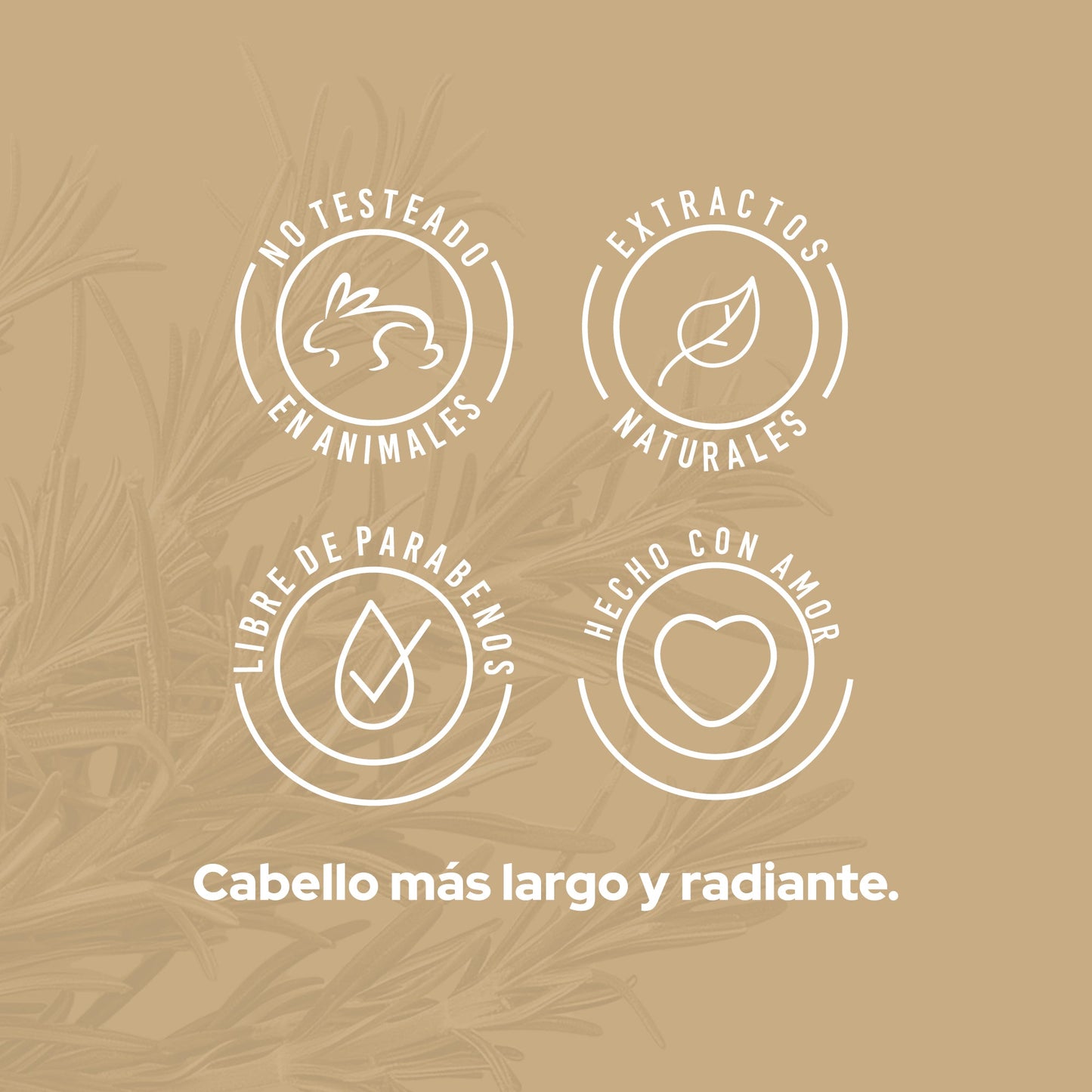 SHAMPOO ROMERO