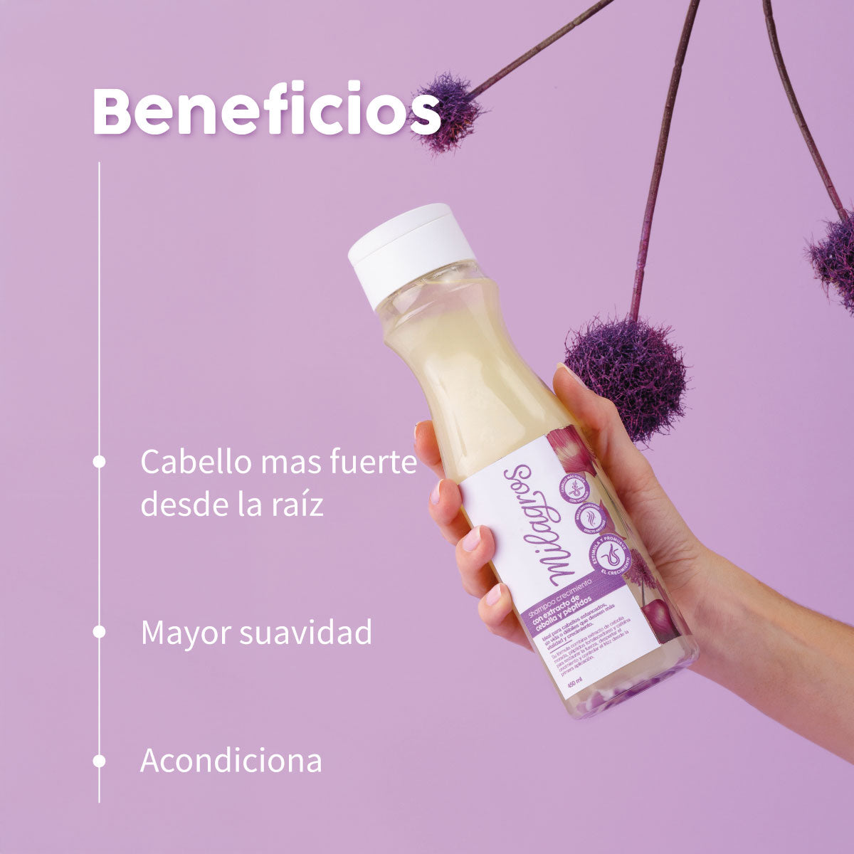 SHAMPOO CEBOLLA