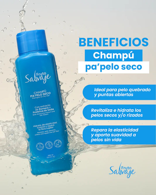 SHAMPOO PA PELO SECO