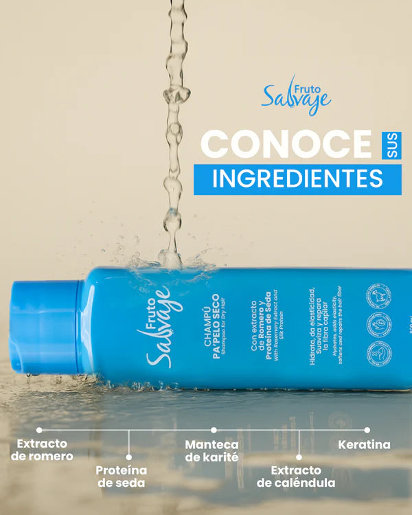 SHAMPOO PA PELO SECO