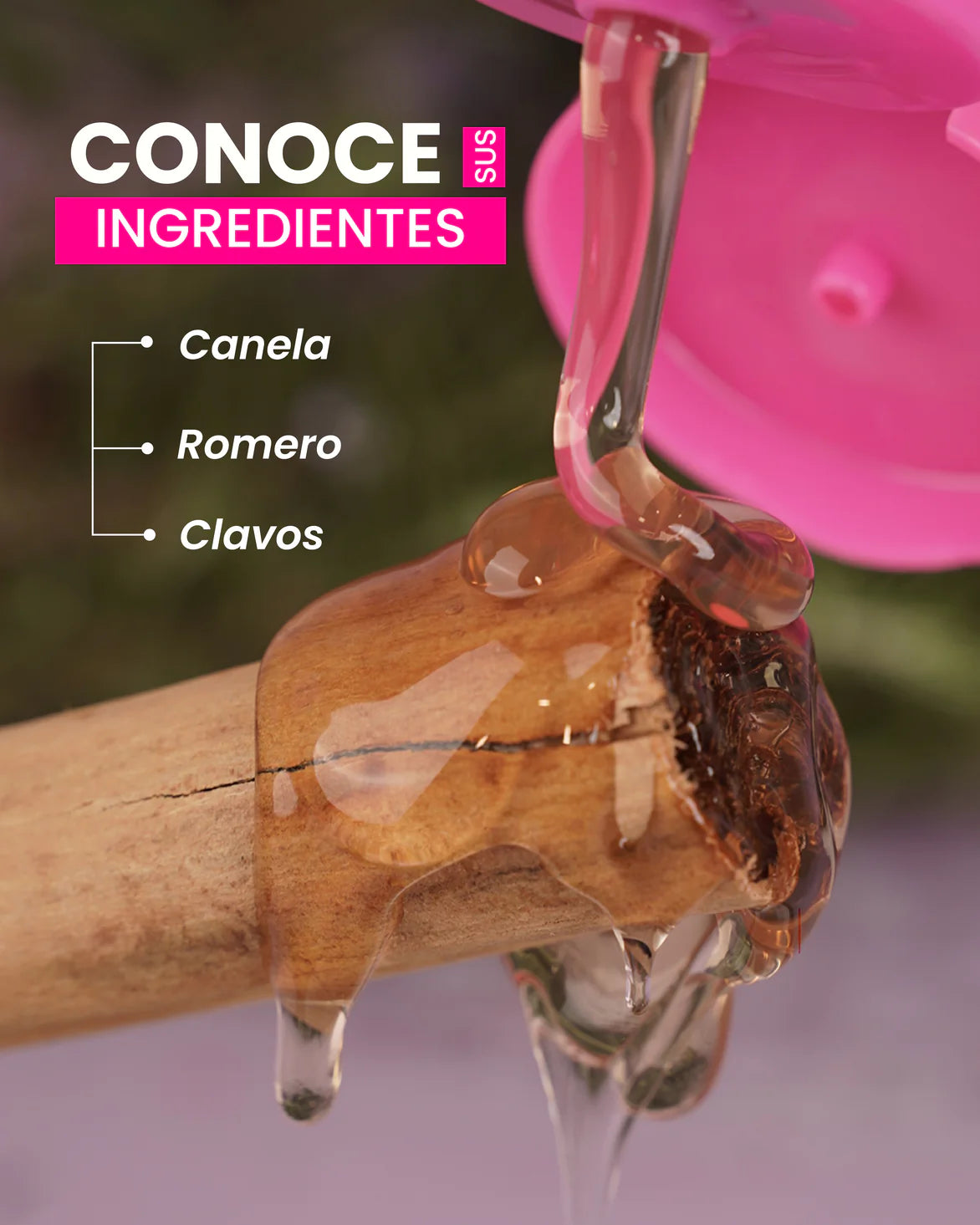 SHAMPOO CANELA ROMERO Y CLAVOS
